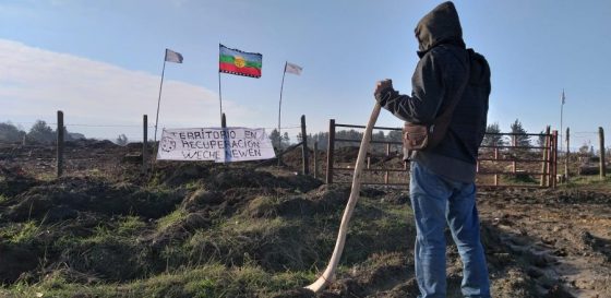 La lucha del lov Pichillenquehue por la recuperación territorial mapuche en Sara de Lebu