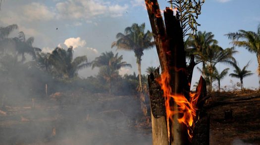 ¿Quién provocó un infierno en la Amazonía? Estos son los principales responsables