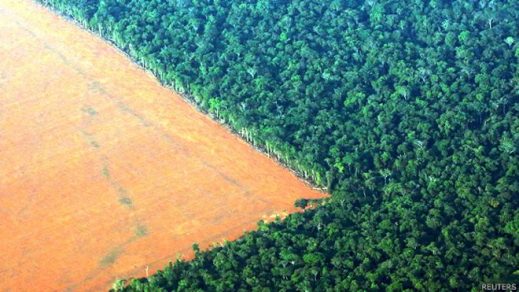 Destrucción del amazonía se acelera durante el gobierno de Bolsonaro