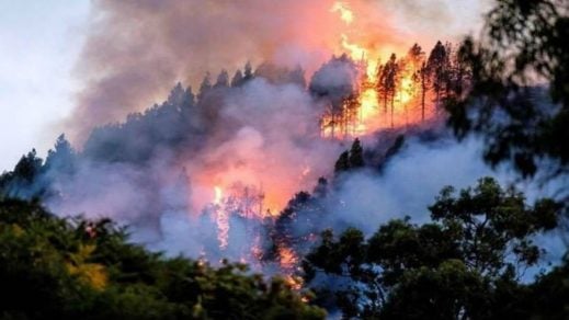 Fidel y el incendio en la Amazonía