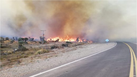 (Vídeo) Continúa el combate contra incendios forestales en Argentina