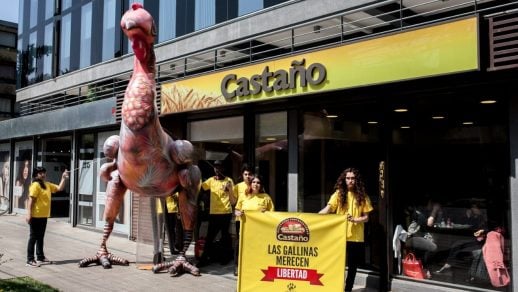 Piden a panaderías Castaño que deje de usar huevos producidos por gallinas enjauladas