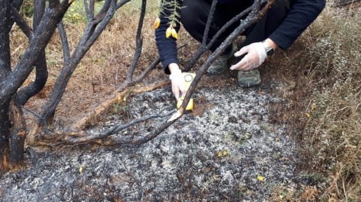 Sernageomin descarta preliminarmente caída de meteorito en Dalcahue