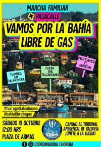 Talcahuano: Convocan a marcha por una bahía libre de gas