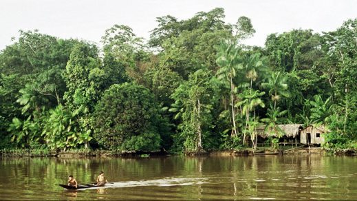 Liberan a brigadistas acusados de provocar incendios en la Amazonía