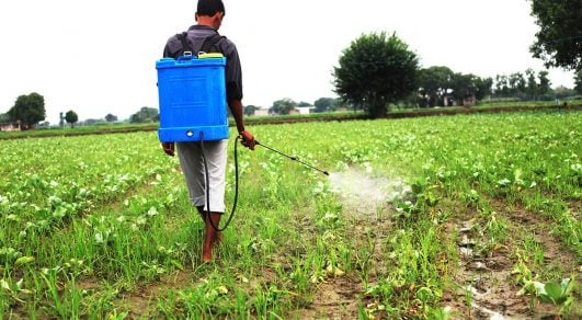 Se duplican las demandas contra Bayer por cáncer vinculado con herbicida de Monsanto