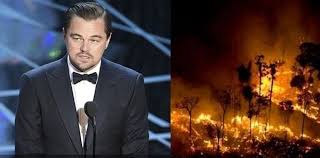 Resultado de imagen para leonardo dicaprio amazonas