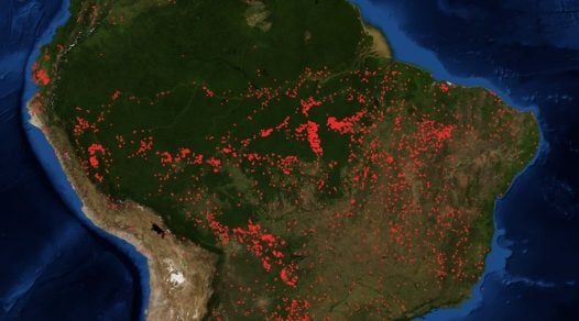 (Video) ¿Cuál fue la magnitud de los incendios ocurridos en el planeta durante 2019?