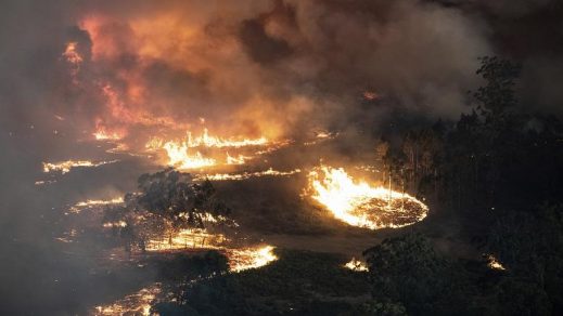 ¿Depois da Austrália, o que? Todas as figuras da tragédia devastadora