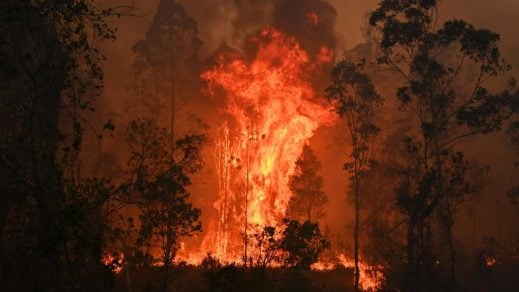 Humo de incendios forestales de Australia llegó hasta Chile y Argentina