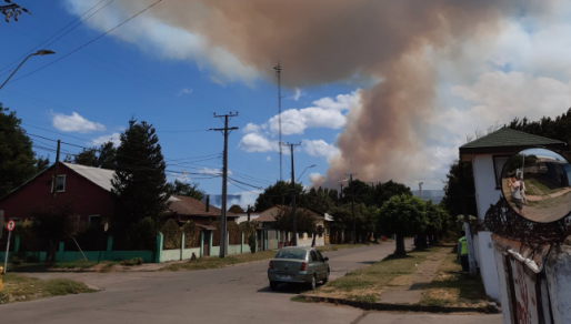 Onemi declara alerta roja para Reinaco por incendio forestal