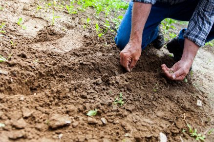 La agroecología frente a las pandemias modernas