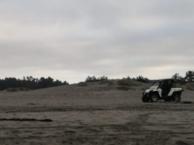 Santo Domingo: Vecinos denuncian competencia de jeeps en playas y dunas del humedal El Yali