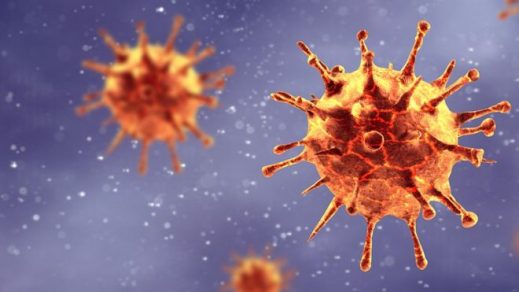 OMS aclara por cuál vía no se transmite el coronavirus