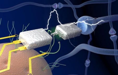 ¿Cómo la ciencia puede mejorar un cerebro para crear inteligencia artificial?