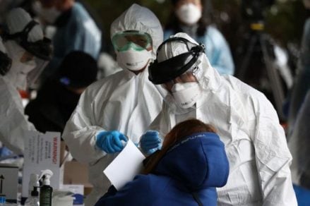 Identificaron 38 anticuerpos capaces de neutralizar el coronavirus