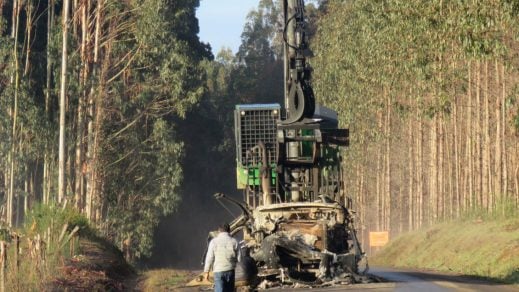 Sociedades científicas piden al Senado aprobar modificación de ley que obliga a forestales a ingresar al Sistema de Evaluación Ambiental