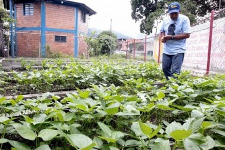 Congreso: Comisión de Pesca rechazó proyecto que crea nuevo Ministerio de Agricultura