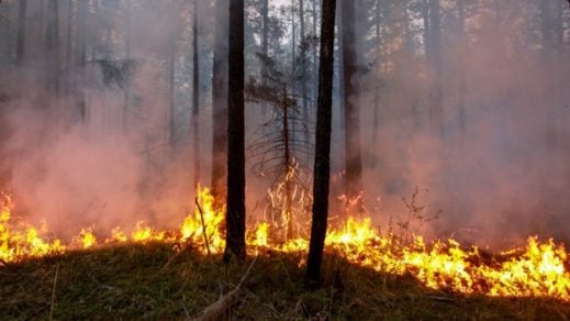 ¿Se reavivaron los «incendios zombis» esparcidos por el Ártico?