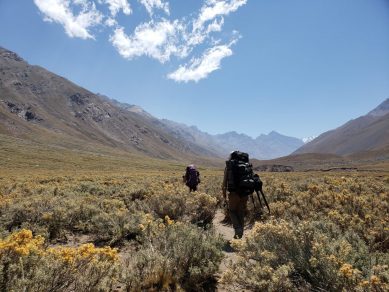 Grave: La letra chica del «acuerdo covid» que acelerará la depredación ambiental en Chile