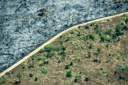 Greenpeace en Día del Medioambiente: ‘Es hora de construir un desarrollo humano diferente, que ponga en el centro la salud planetaria’