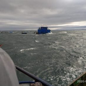 Los Lagos: Confirman masivo escape de salmones en el Seno de Reloncaví