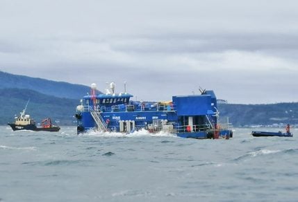 Comunidades Mapuche rechazan presencia de salmoneras tras masivo escape de peces en Espacio Marino Ancestral