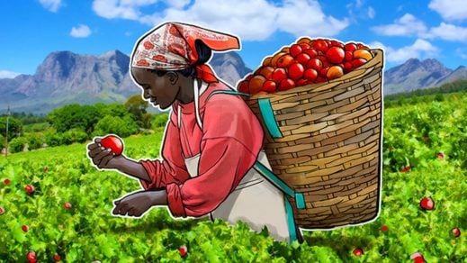 ¿Cómo se vincula el sector agrícola con la tecnología Blockchain en latinoamérica?