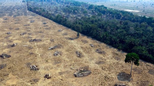 Soja y carne vacuna que se exporta de Brasil a la Unión Europea están vinculadas a la deforestación ilegal