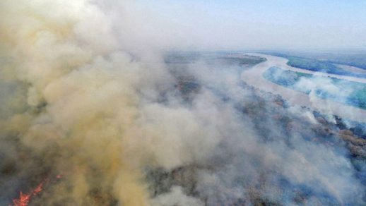 El  Pantanal de Brasil está en peligro: Los incendios aumentaron 200 % en comparación con 2019