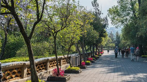 México: Proyecto socio-cultural en el Bosque de Chapultepec es una amenaza medioambiental