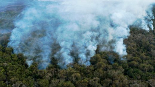 (Videos) Al menos unas 40.000 hectáreas del Gran Pantanal brasileño quedan arrasadas por los incendios