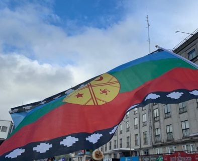 Nueva Constitución como salida al conflicto mapuche