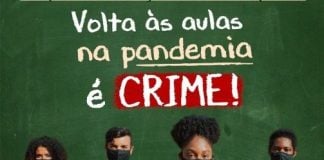 campaña brasil