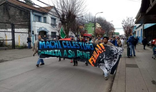 mapuches-_celestino_cordova-_marcha-_twitter