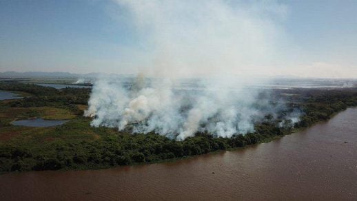 Detectan más de 1.600 focos de incendios en el Pantanal de Brasil, uno de los mayores humedales del planeta