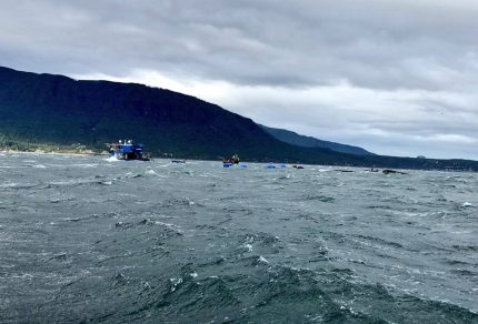 Sernapesca: 2.900 toneladas de salmones muertos están en el fondo marino tras hundimiento de centro en el seno de Reloncaví