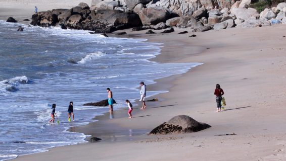 Playa chilena