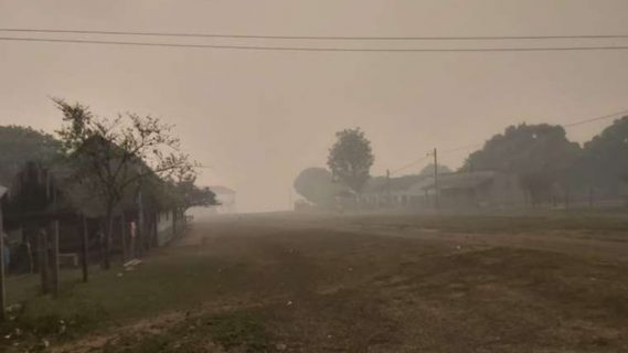 Senado de Bolivia exige al Gobierno pronunciarse sobre la ola de incendios forestales