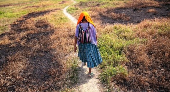 ONU: pandemia tiene impacto socioeconómico devastador sobre niñas y mujeres