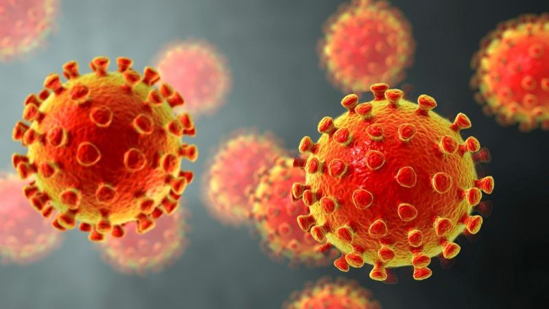 coronavirus