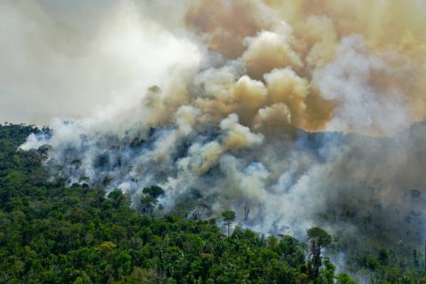 incendios brasil falta de recursos