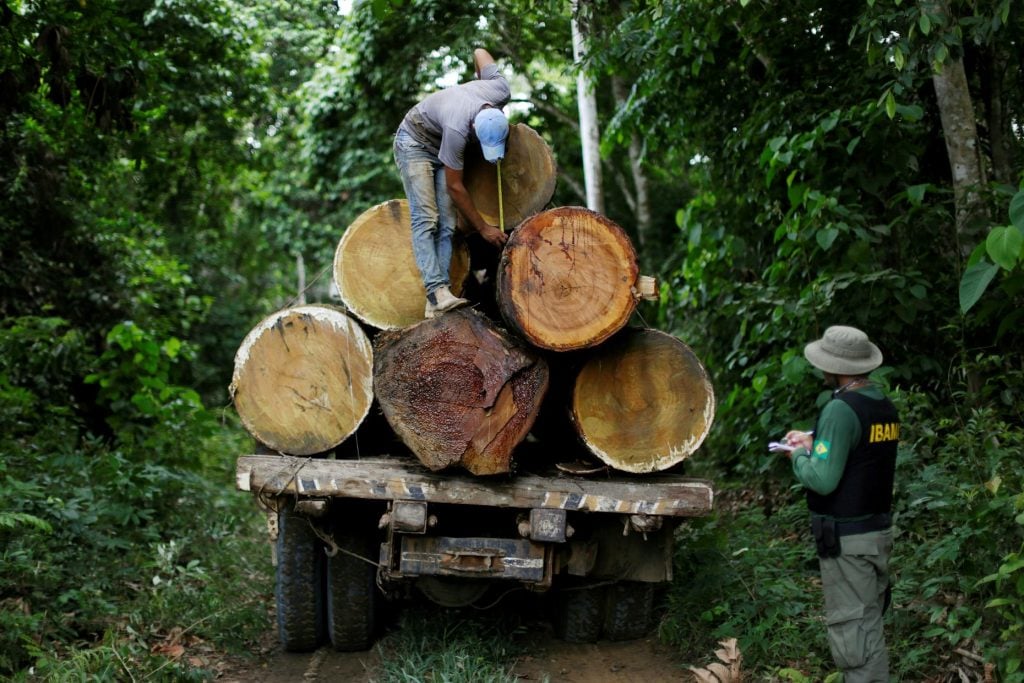 Amazonas