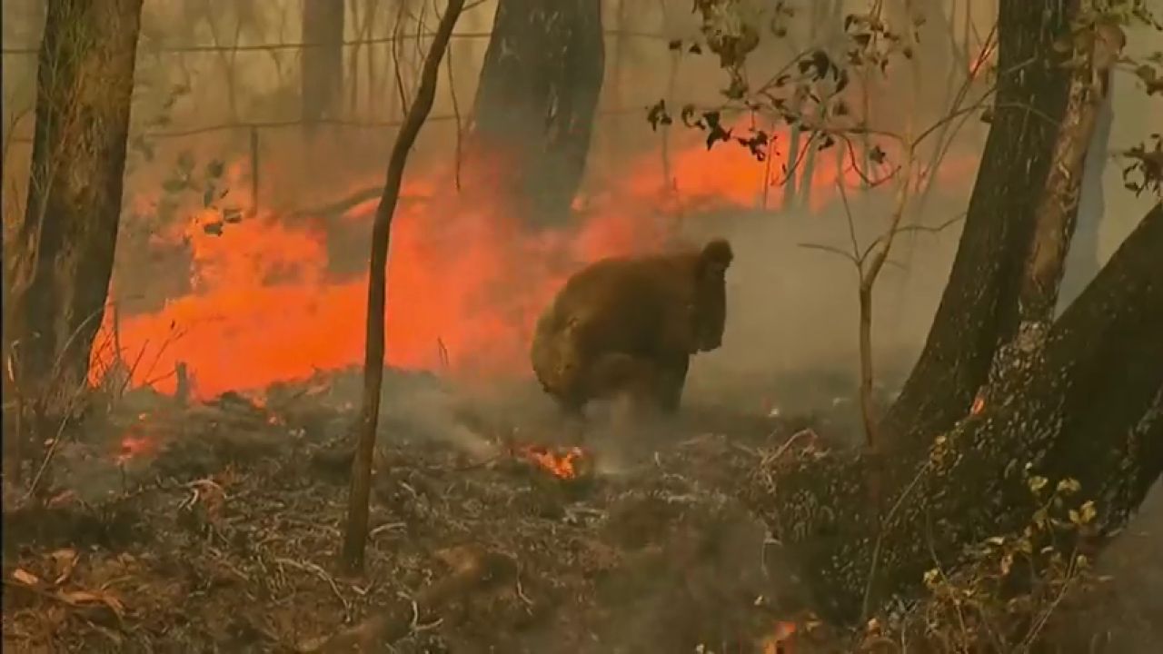 incendios