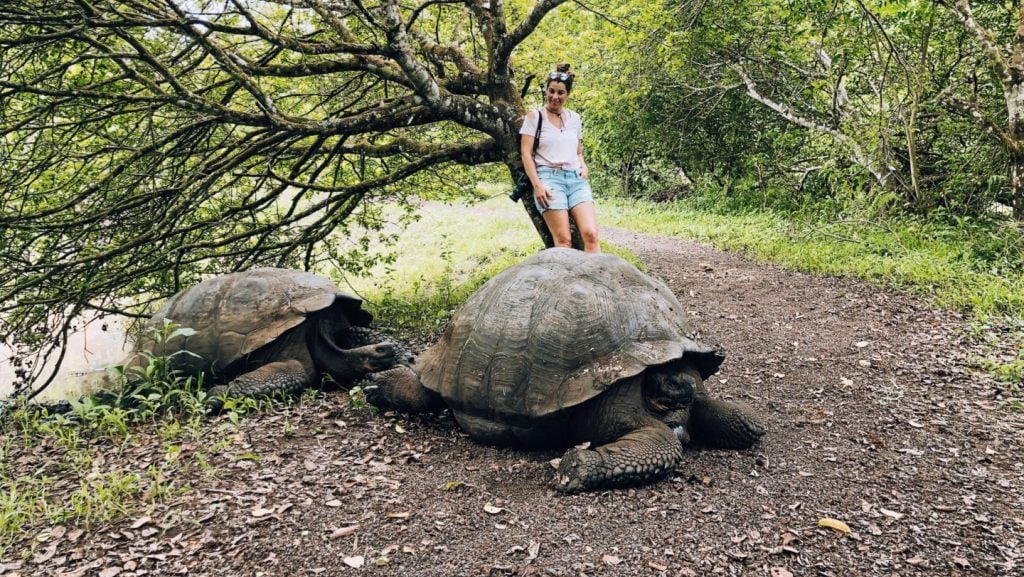 Galápagos