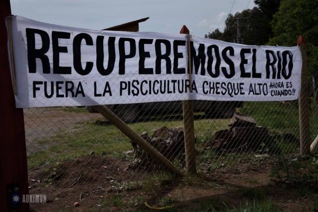 Villarrica: Denuncian grave impacto de la piscicultura en Chesque Alto, una de las zonas más prístinas de Chile