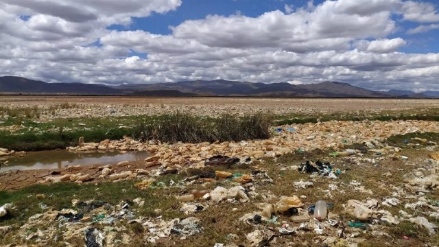 Bolivia: Lago Uru Uru se convierte en grave problema medioambiental