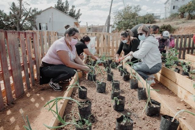 Soberanía alimentaria: Valparaíso avanza en la construcción de nuevas huertas comunitarias