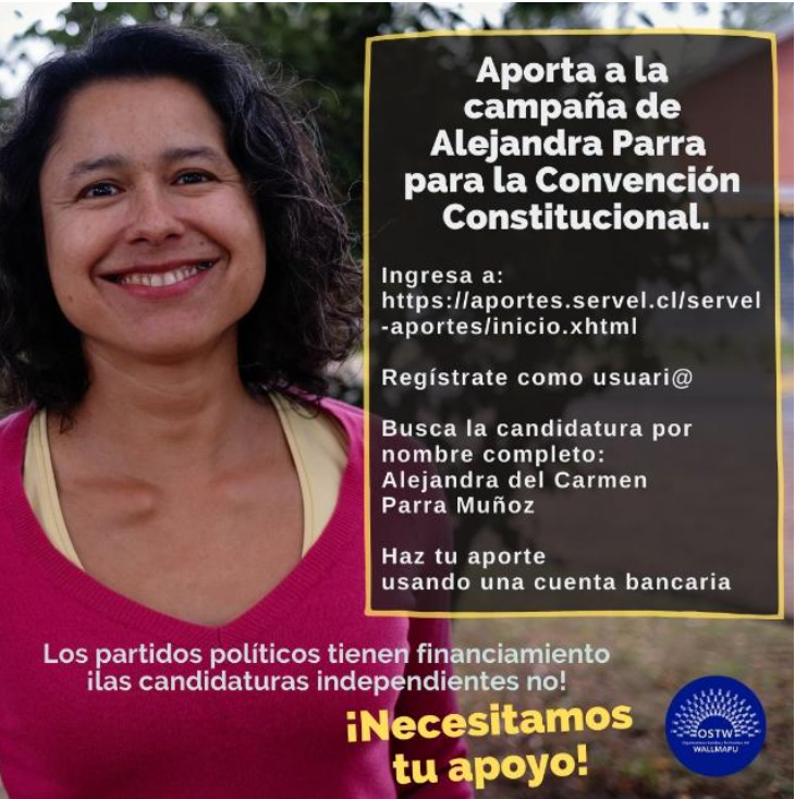 El confinamiento y las medidas sanitarias en la Región de los Ríos han perjudicado profundamente a las candidaturas independientes de los constituyentes. Mientras los candidatos  que representan a organizaciones sociales y medioambientales no tienen espacio en televisión para propagandas masivas, candidatos como Luís Mayol (RN) tienen muchos minutos en la franja electoral, además de muchísimos más recursos para hacer propaganda.