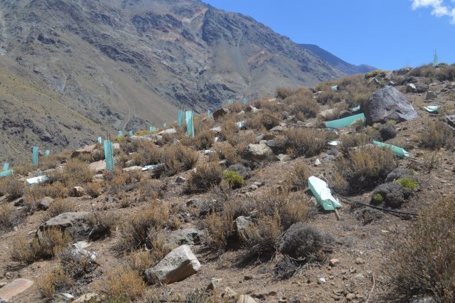 Minera Vizcachitas enfrenta nueva denuncia por no cumplir reparación de daño ambiental y crear un basural en la comuna de Putaendo